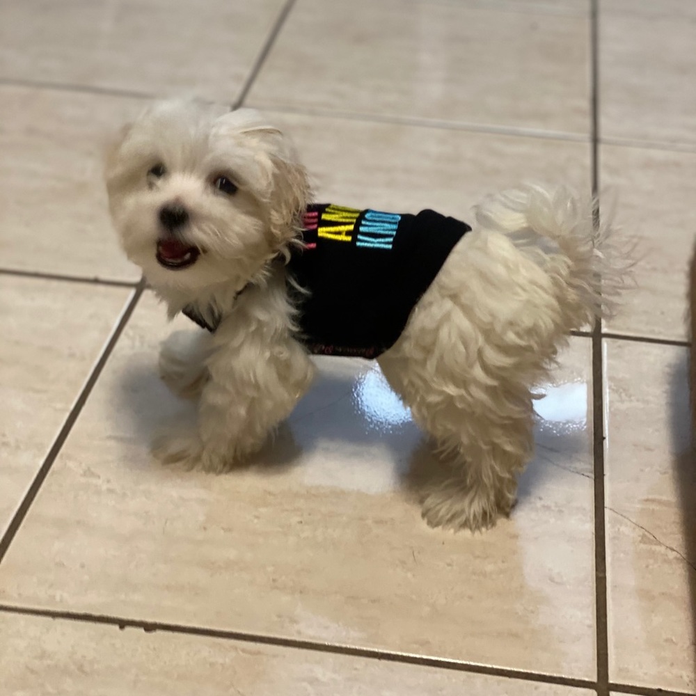 Meet your Posher, Beatriz